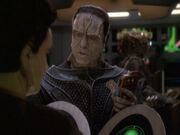 Damar Weyoun Streit.jpg