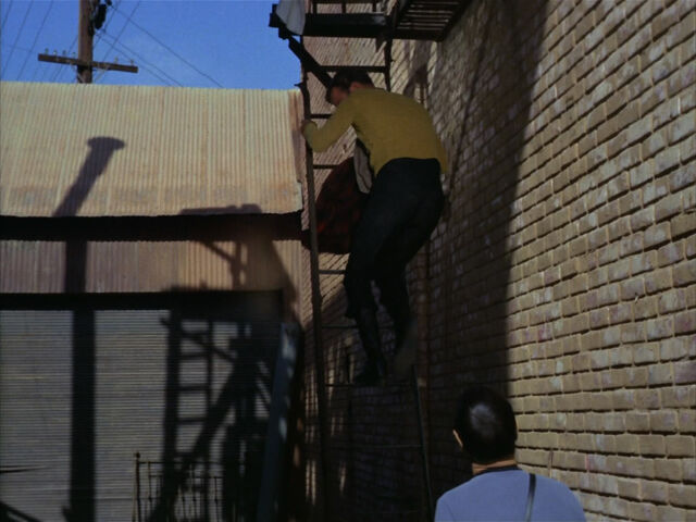 File:Ladder on fire escape.jpg