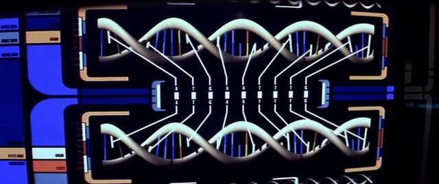 File:Dna match.jpg