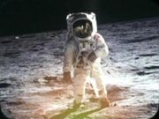 Buzz Aldrin, The Cage.jpg