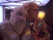 Quark demonstriert die Sicherheit seiner Stühle.jpg