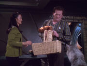Picnic basket