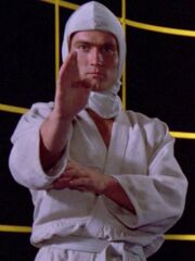 Aikidokämpfer (Hologramm).jpg