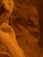 Vulkanische Mumie 2154.jpg