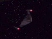 Erdenschiff das die Enterprise NX-01 unterstützt