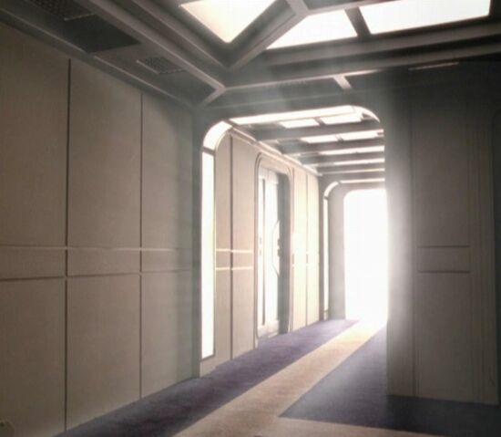 File:The light at the end of the tunnel.jpg