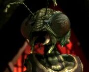 Xindi-Insektoide.jpg