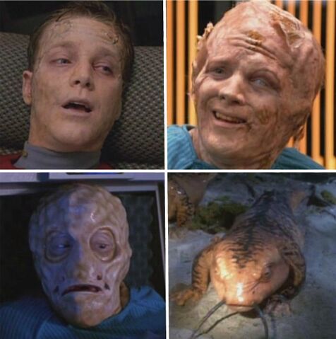 File:Hyper-evolution.jpg