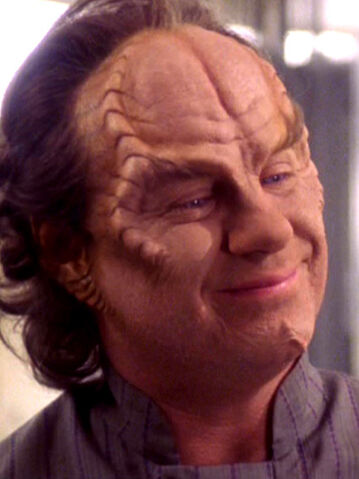 Soubor:HlavníLekař(Phlox).jpg