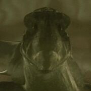 Xindi-Aquatic.jpg