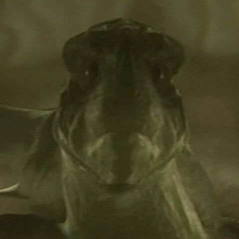 Файл:Xindi-Aquatic.jpg