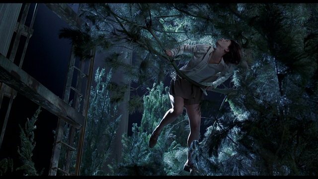 File:Image (1).png