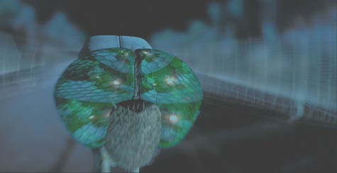 File:Mib 002Dragonfly.jpg