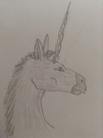 File:DonkeyUnicorn.jpeg