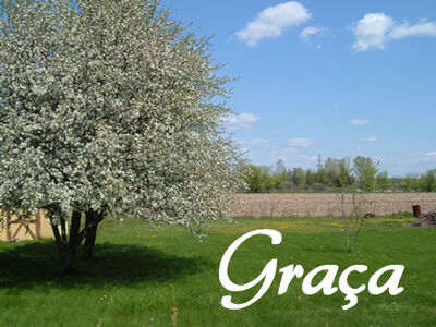 Graca