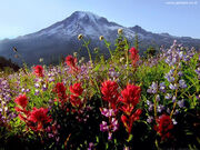 Natureza57.jpg