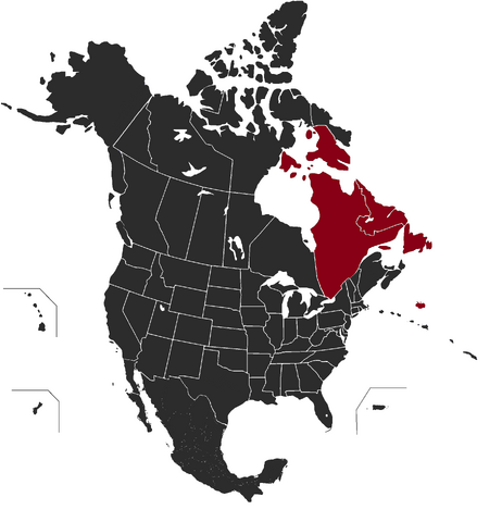 File:Alternity Quebec, 1997.png