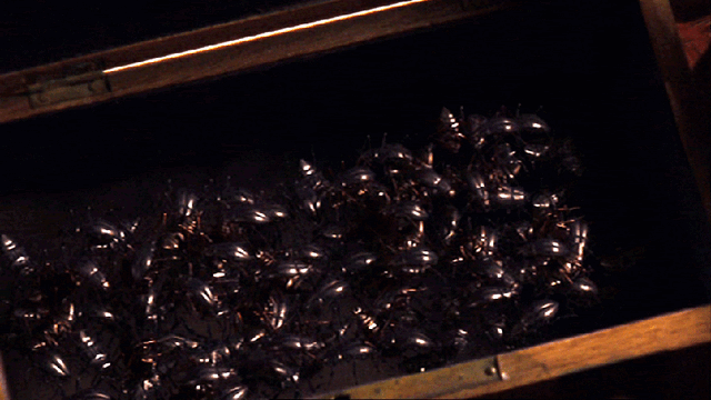 Archivo:2epr4wn.jpg.gif