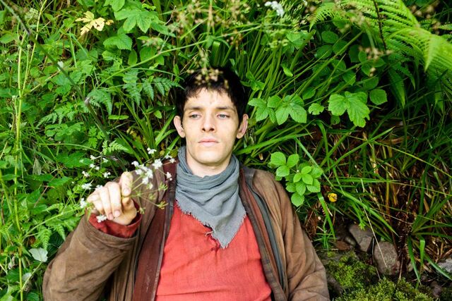 File:Merlin flowers.jpg