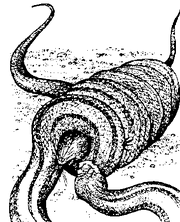 Petla