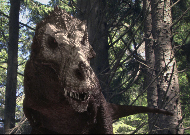 File:Jackforest.jpg