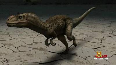 JFC Ceratosaurus