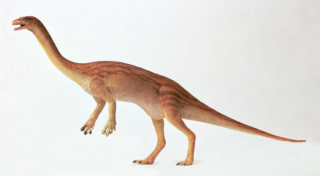 File:Anchisaurus-dkimages.jpg