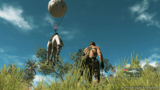 File:Dhorse.jpg