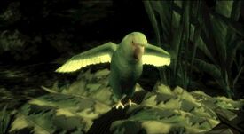 The End's and Emma's parrot