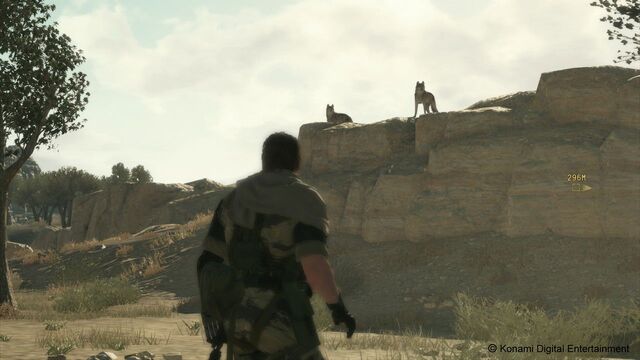 File:Mgstpp gc 14 web.jpg