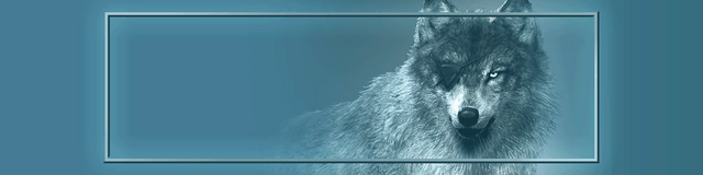 File:0Qh0poW.png