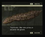 Tsuchinoko25ni.jpg