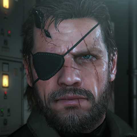 File:VenomSnakeTPP.png