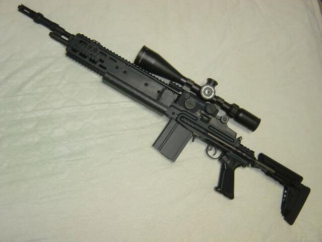 File:M14 EBR.jpg
