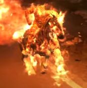 MOF's horse