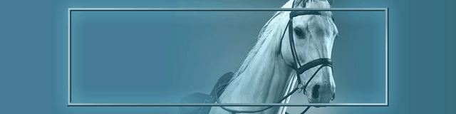File:BvBvCoC.png