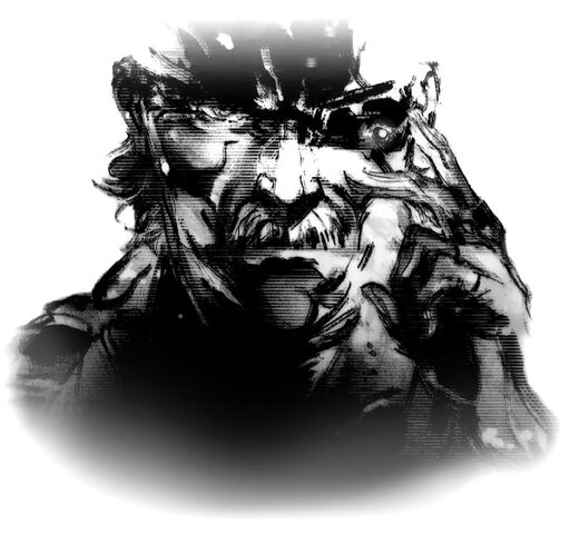 File:Mgs4-misc02.jpg