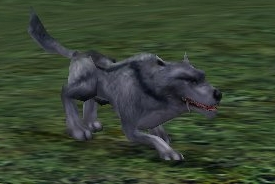 Lupo blu.jpg