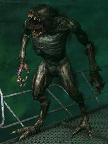 File:AugmentedNosalis.png