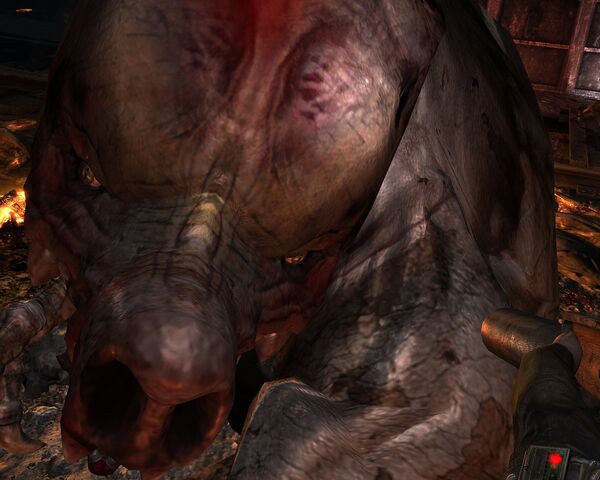 File:Pigface.jpg