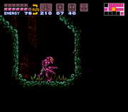 Zebesiano Rosa