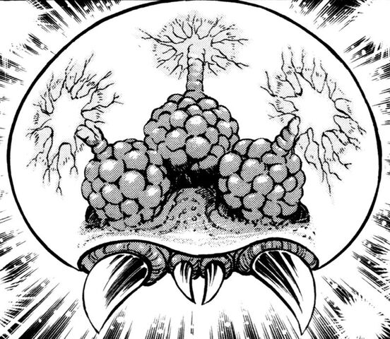 File:Metroid S&J.jpg