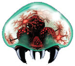 Ficheiro:MZM Metroid.jpg