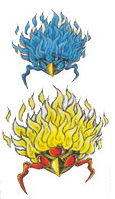 Novas.png