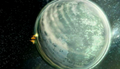Miniatura della versione delle 14:11, lug 18, 2013