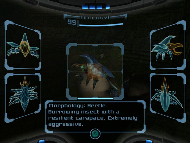 File:Beetle Scan Dolphin HD.jpg