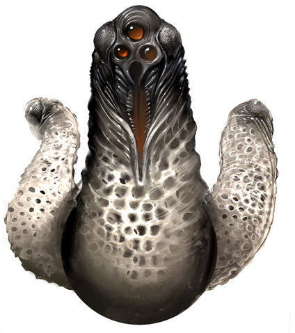 File:Amorbis.jpg