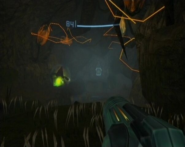 File:Root Tunnel.jpg
