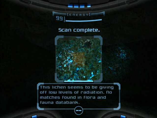 File:Tallon Canyon lichen scan Dolphin HD.jpg