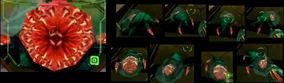 Quadtroid screens